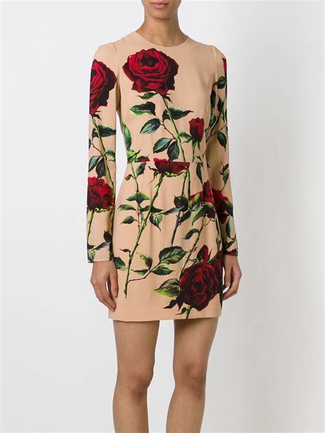 dolce gabbana rose 30ml|Dolce & Gabbana rose print dress.